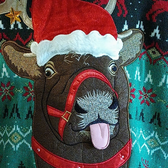 𝑪𝒆𝒍𝒆𝒃𝒓𝒂𝒕𝒆 𝑻𝒐𝒈𝒆𝒕𝒉𝒆𝒓 𝑭𝒆𝒔𝒕𝒊𝒗𝒆 𝑹𝒆𝒊𝒏𝒅𝒆𝒆𝒓 𝑺𝒘𝒆𝒂𝒕𝒆 - Picture 5 of 12